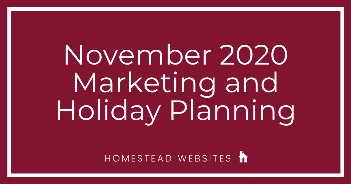 November 2020 Marketing and Holiday Planning November 2020 Marketing and Holiday Planning