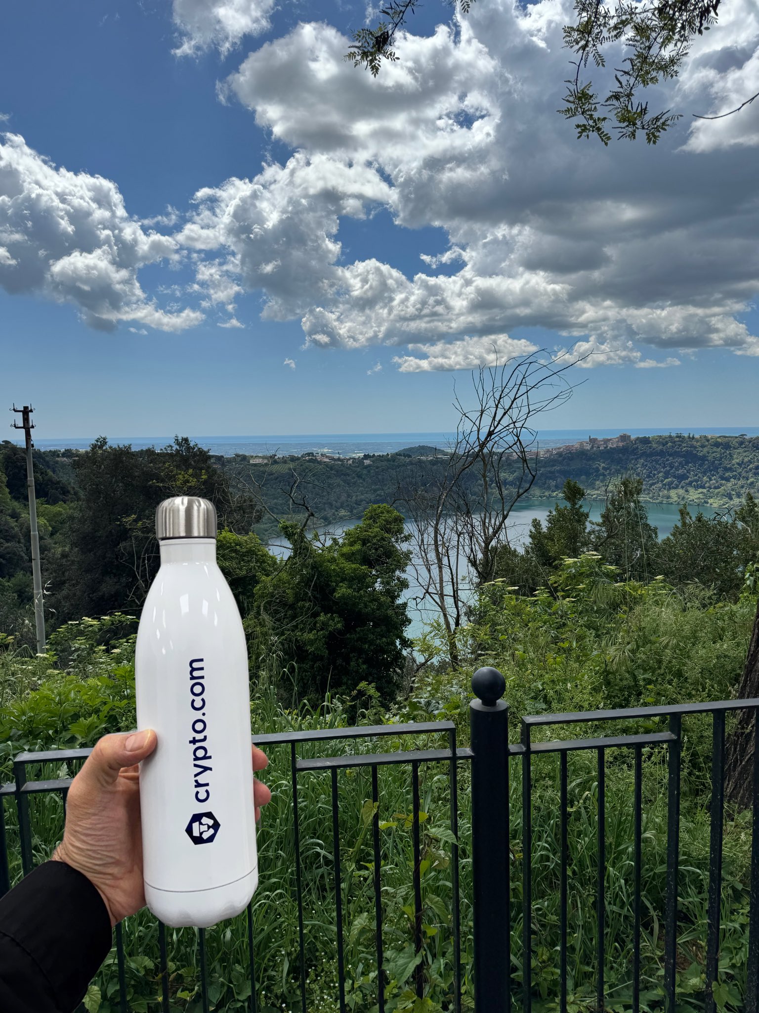 Approaching the market like the water in this tumbler — cool and collected  | 🧊 📷 nft_promo : r/Crypto_com