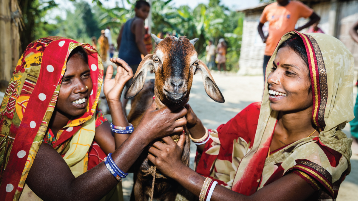 payday loans online for bad credit